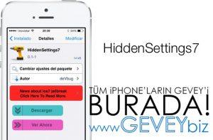 iOS 7 Cihazlarınızı Hızlandırın! 55 – HiddenSettings71
