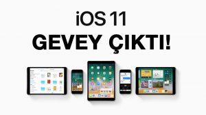 iOS 11 GEVEY Çıktı! 149 – iOS11 GEVEY