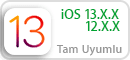 iOS 13 ve iOS 12 Tüm Sürümler